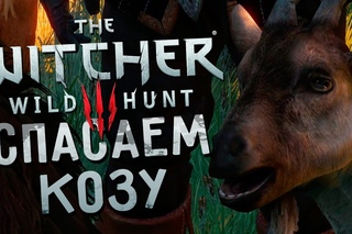 Прохождение The Witcher 3: Wild Hunt #13 - Спасаем Козу