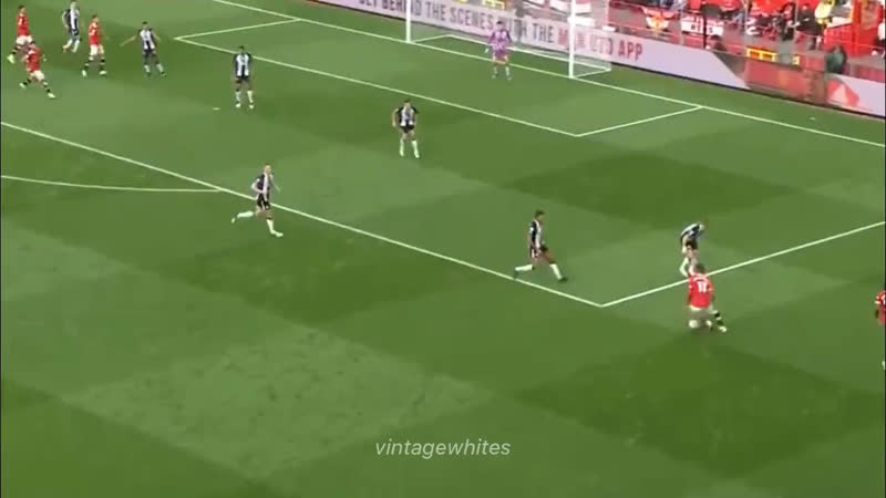 Видео от Kashii