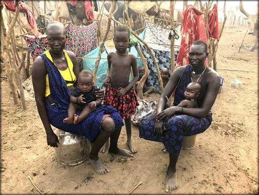 Tribe отзывы. Urban tribe масло. Urban tribe лак. электросамокат himba pro. племя мундари в южном судане.