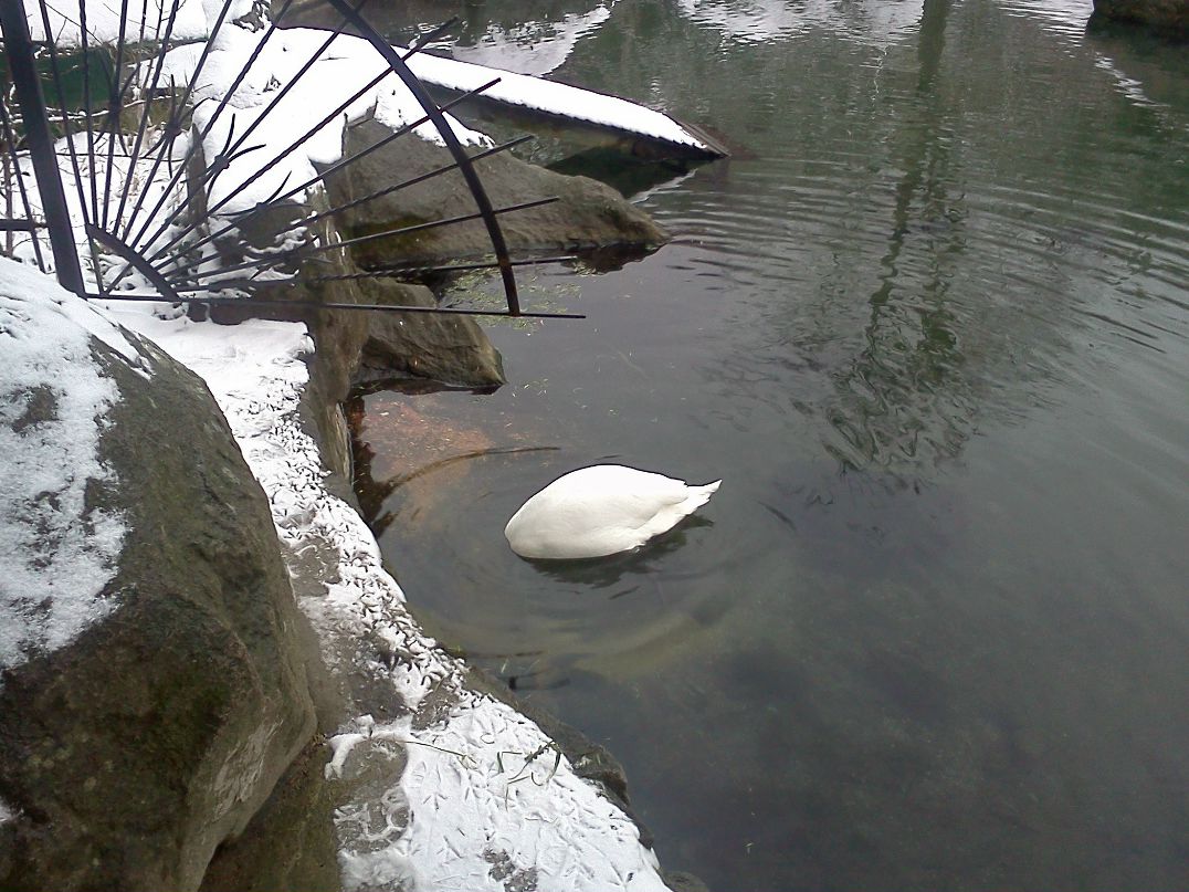 Юрий Товыриков black_rain | Дзержинск