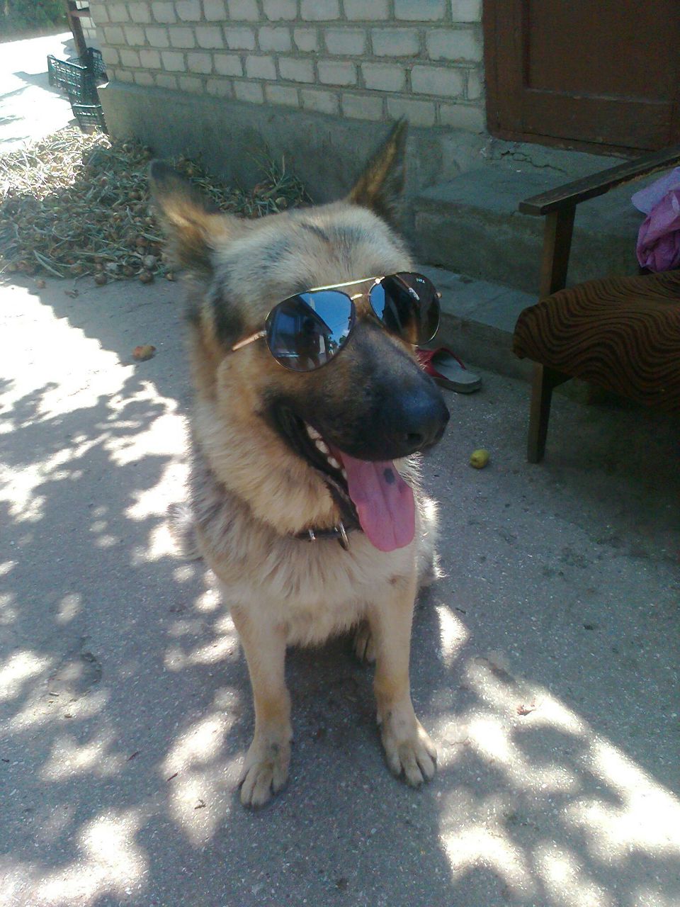 Александр Калуженов $ | Николаев