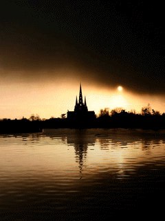 Сладкая Вата | Praha