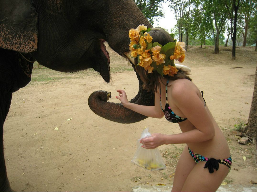 Анастасия Новоселова | Москва