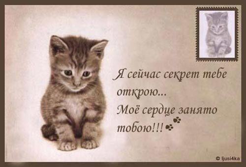 №6, Рома Борисов №6, Рома Борисов