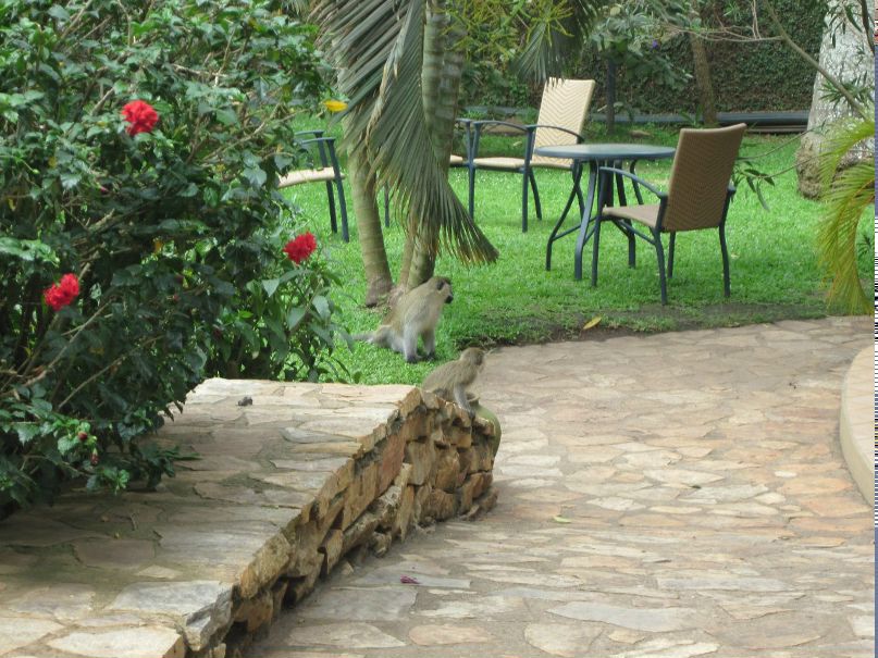 Andre Pablo | Санкт-Петербург