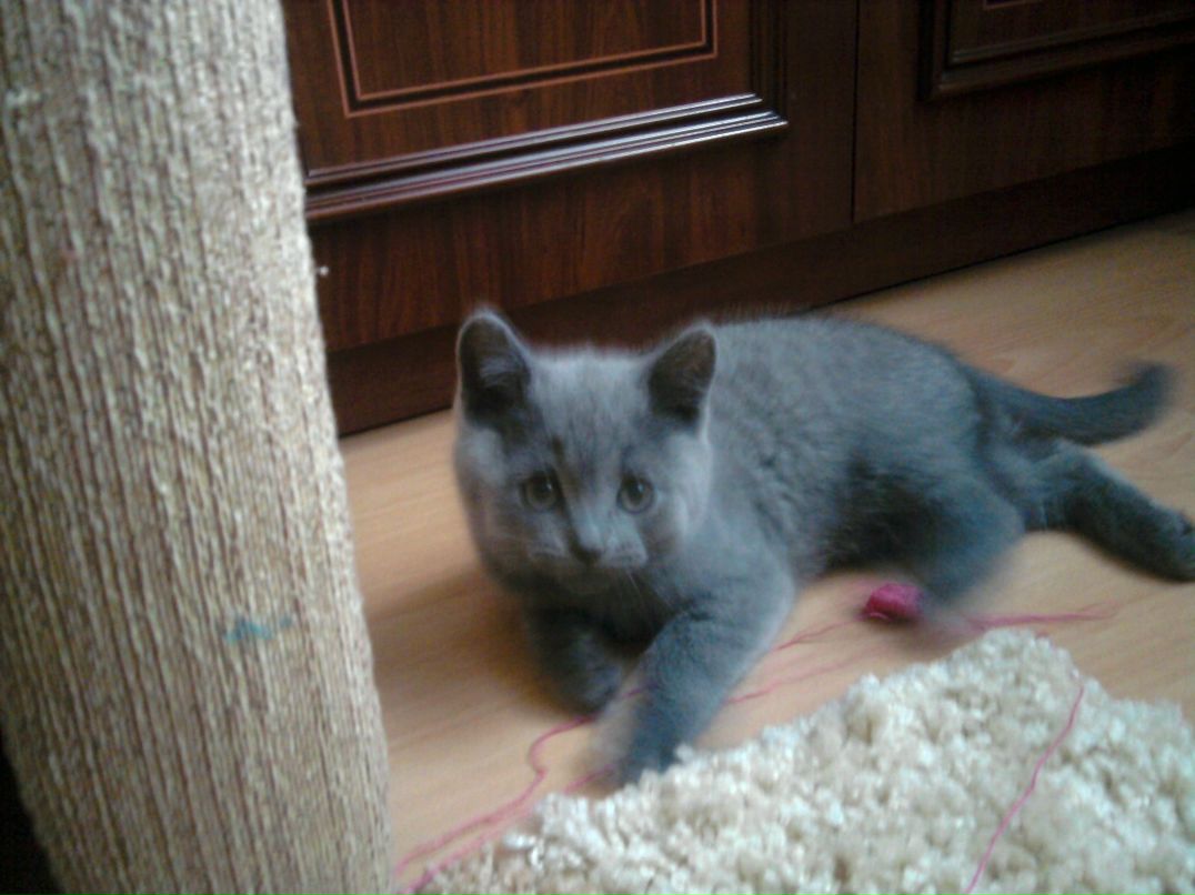 Ирина Второва | Одинцово