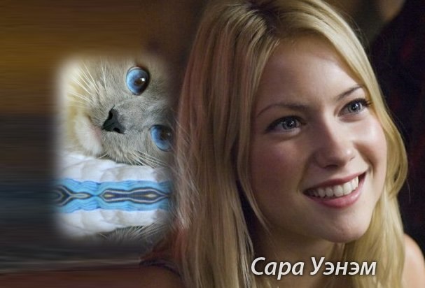 Софья Романовская | Санкт-Петербург