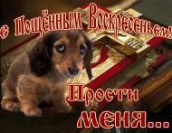 Елена Шулейко **СОВСЕМ ДРУГАЯ** | Петрозаводск