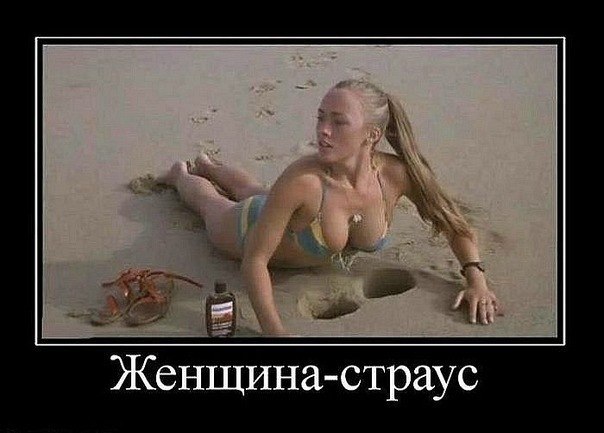 №67, Юрий Трегубенко, Львов №67, Юрий Трегубенко, Львов