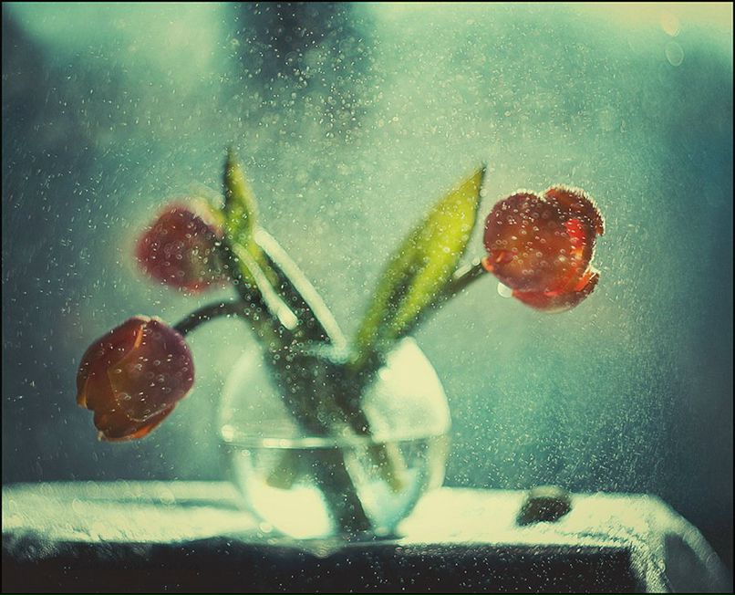 Ирина Судник | Североморск