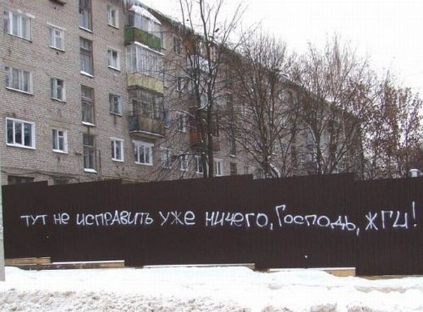 Никита Зайцев 