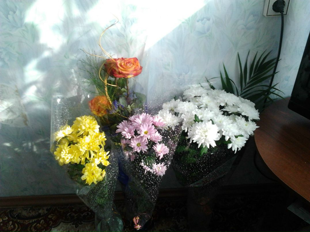 Елена Афонина | Тольятти