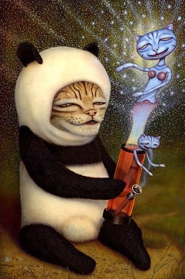 Павел Соломенников | Ижевск