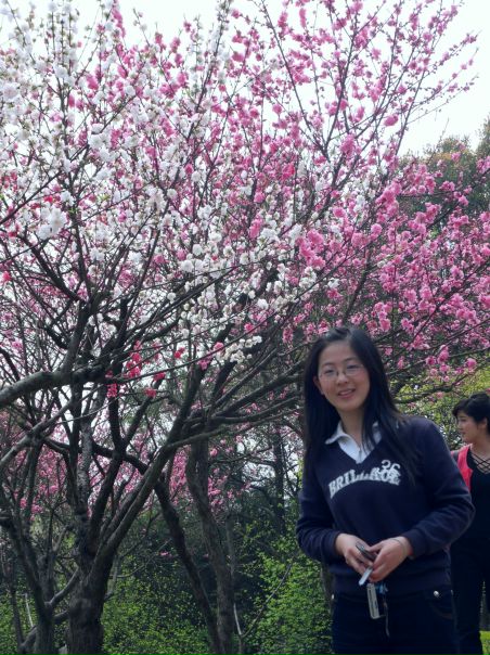 №13, Света Гао №13, Света Гао