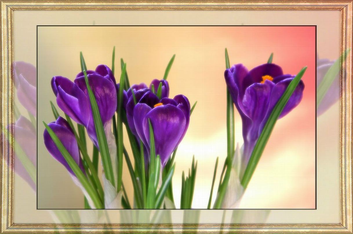 Ирина Тимофеева | Санкт-Петербург