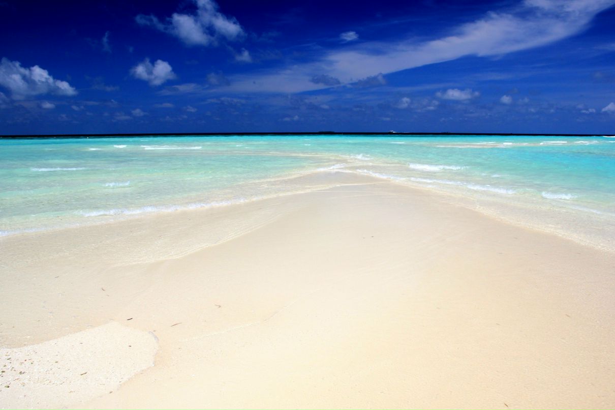 Алекусандр Осипенков | Санкт-Петербург