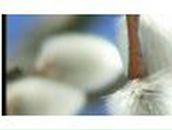 Юлия Коротченко | Киев