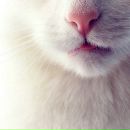 №6, Дашелита Прохорова, 6.2.1986, 40 лет, Москва, Россия