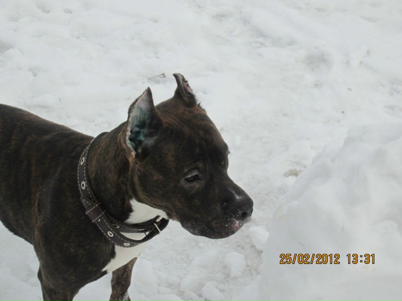 Михаил Пятых | Санкт-Петербург