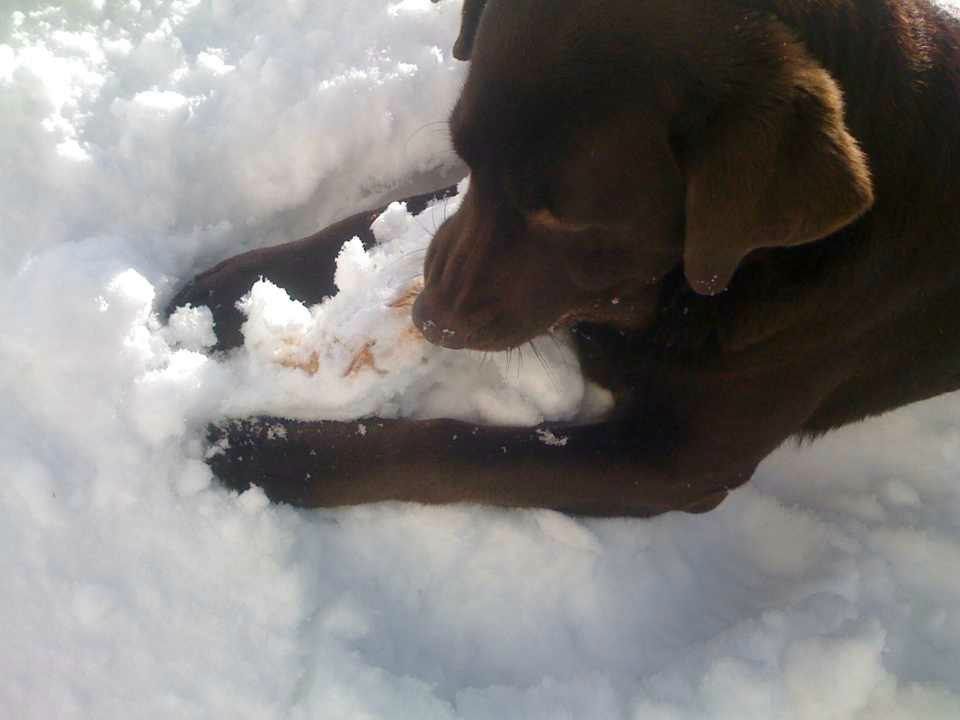 Яна Нитолкан | Санкт-Петербург