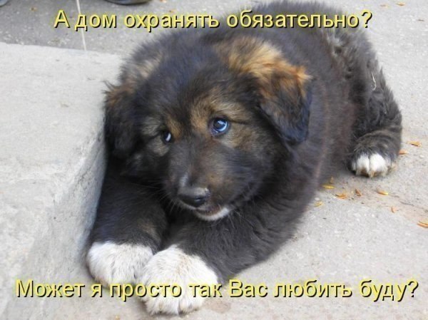 Антонина Махиева | Dubai