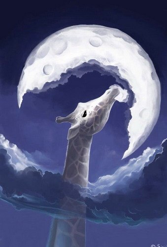 Настена Рукавичникова | Москва