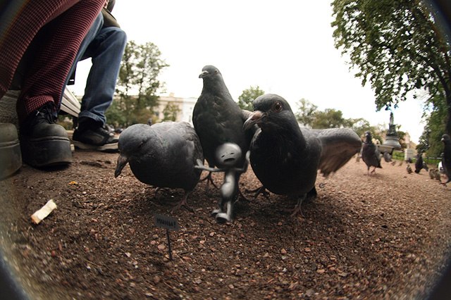 Александр Смирнов | Тула