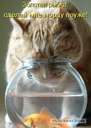 Глафира Тарелкина | Москва