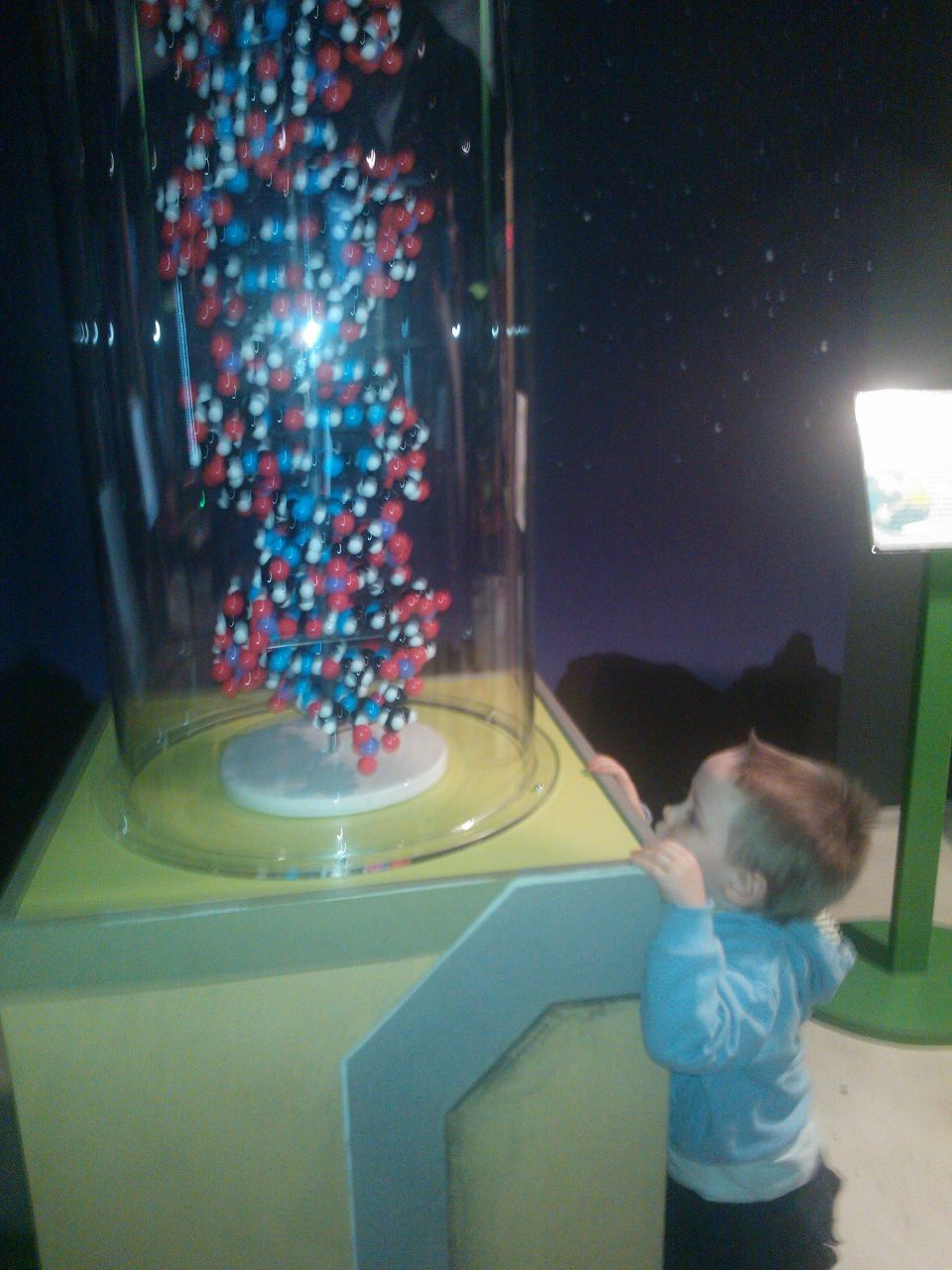 Наталия Серженко | Санкт-Петербург