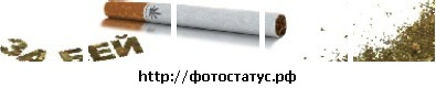 №23, Максим Щоколов, Донецк №23, Максим Щоколов, Донецк