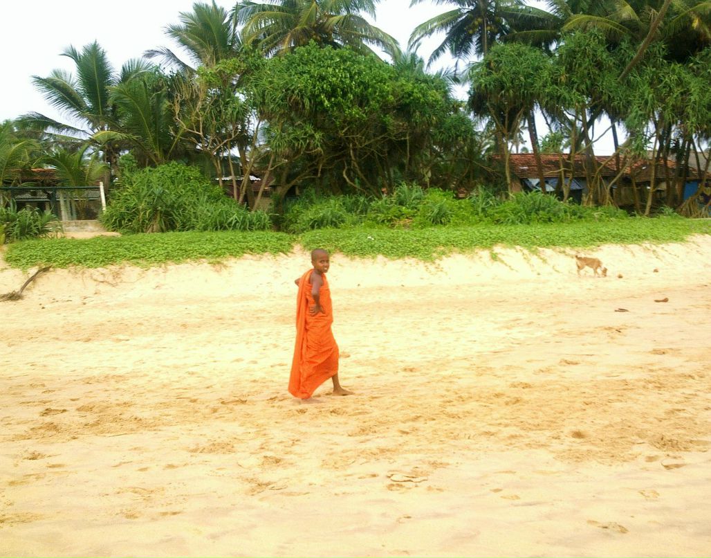 Ольга Андрушевич | Москва