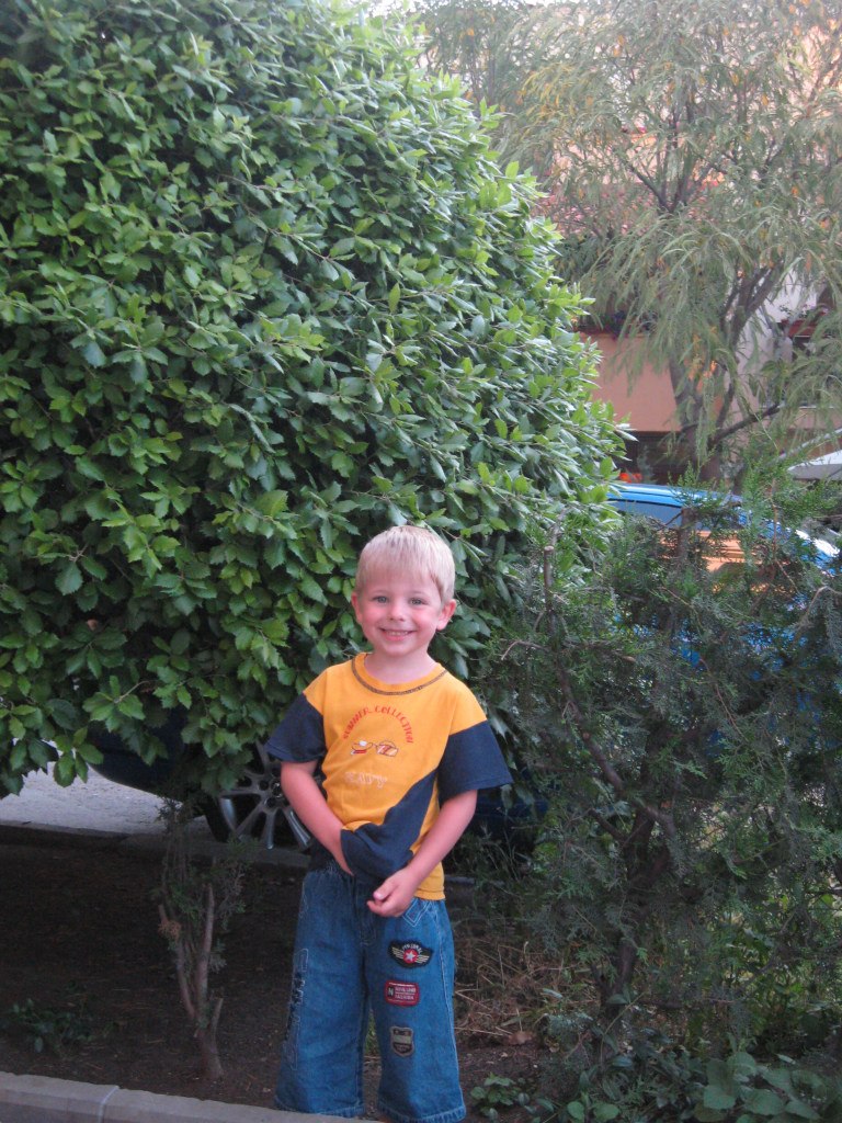 Юрий Ширяев | Запорожье