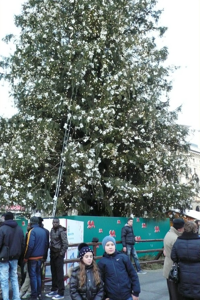 Вася Фёдоров | Санкт-Петербург