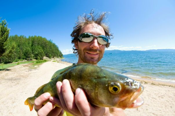 №49, Александр-Minimal Жук, Кропивницкий / Кировоград №49, Александр-Minimal Жук, Кропивницкий / Кировоград