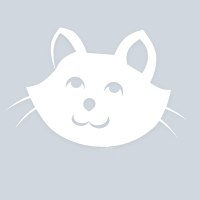 Денис Ечин | Городец