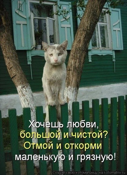 Татьяна Татьянова | 