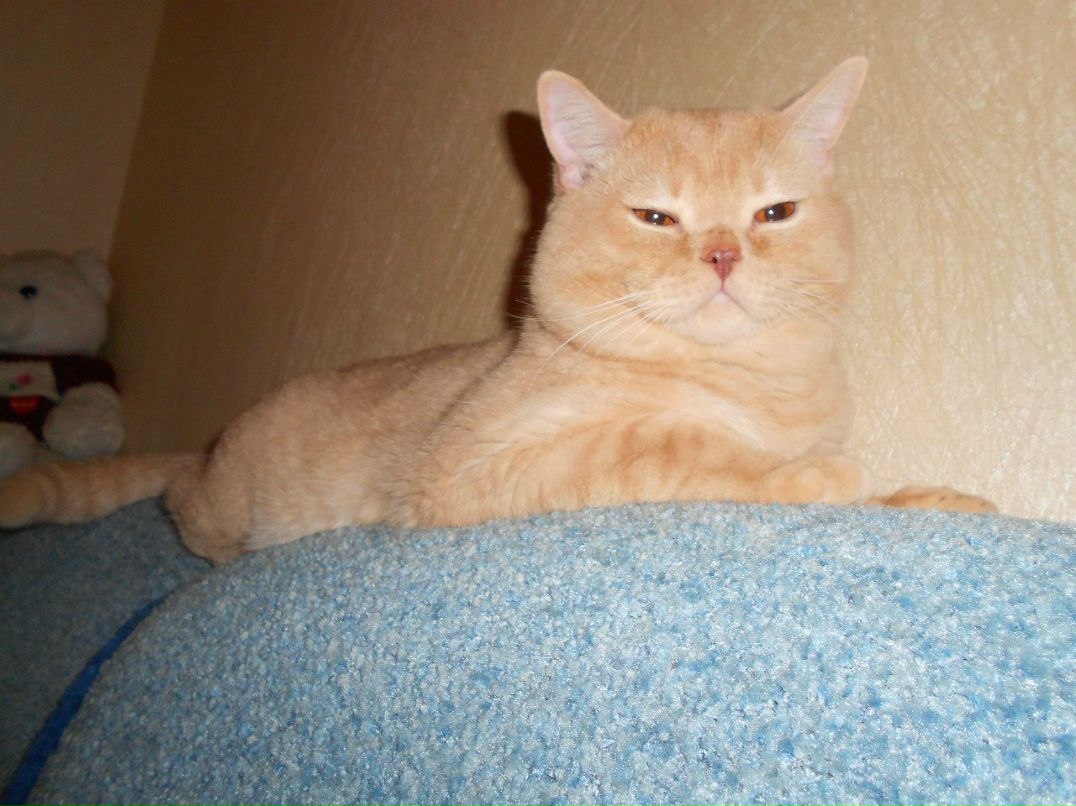 Катюшечка Камышева | Нижний Новгород