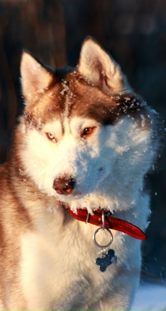 №34, Татьяна Садченко, 41 год, Санкт-Петербург №34, Татьяна Садченко, 41 год, Санкт-Петербург