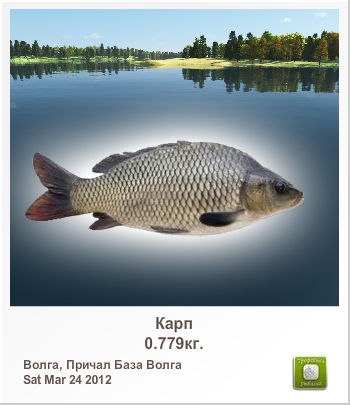 Олександр Кривоносюк | 