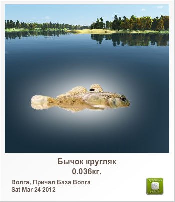 Олександр Кривоносюк | 