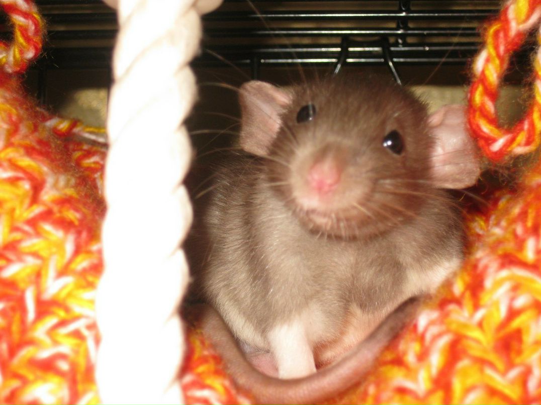 Людмила Бурова ♥ღஐღ♥ | Санкт-Петербург