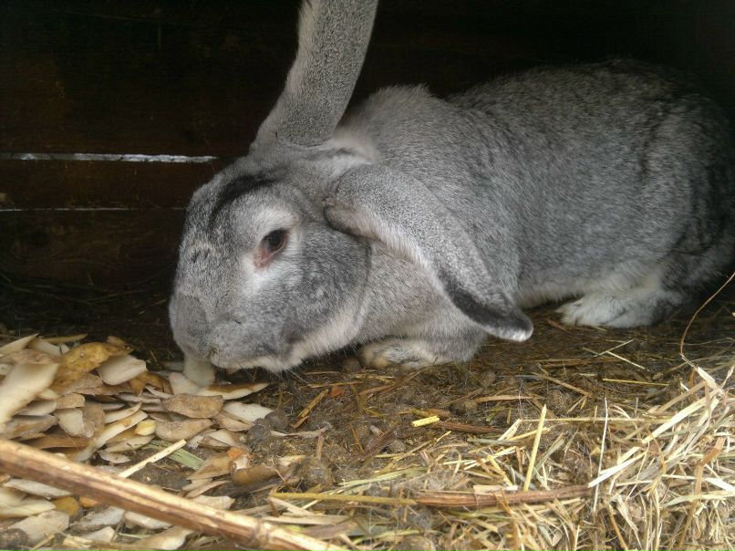 Максим Егоров | Казань