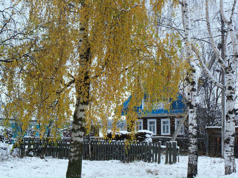 Юра Киркин | Кичменгский Городок