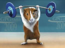 Володимир Коляда | Николаев