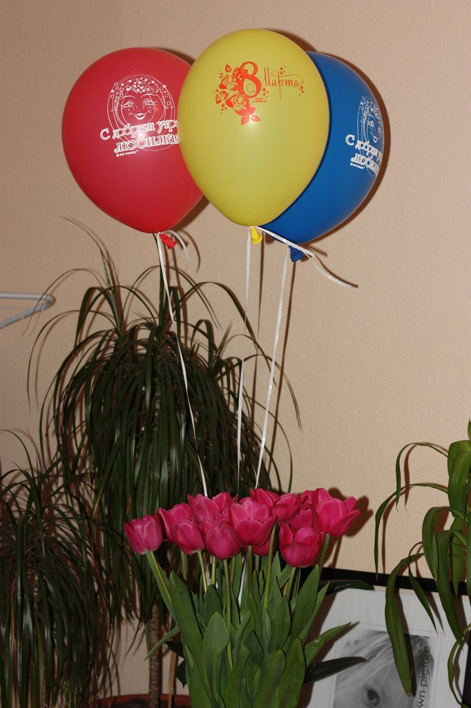 Мария Ермакова | 