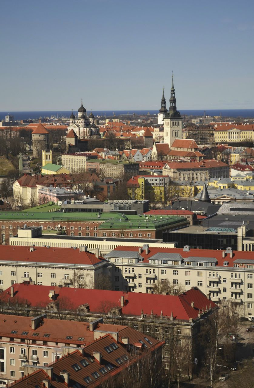Jekaterina Razumov | Таллин