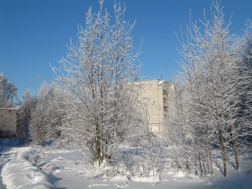 Альбина Шумилова | Кадуй (пгт)