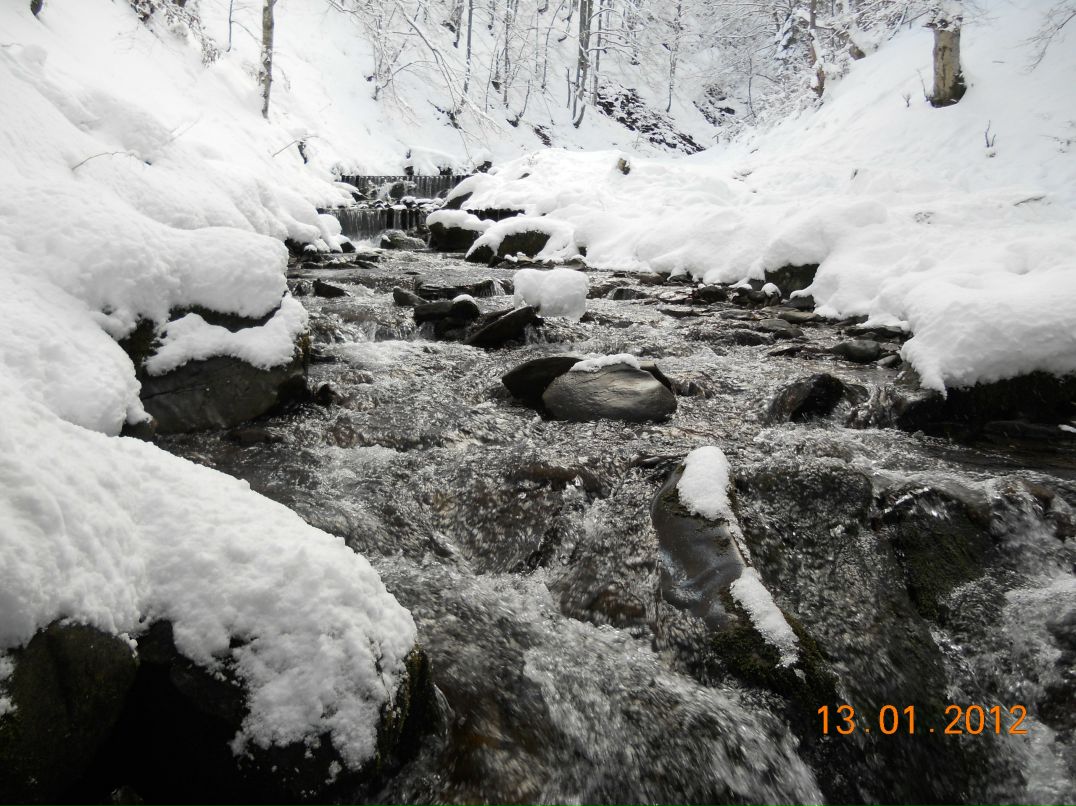 Алёна Грамма | Одесса