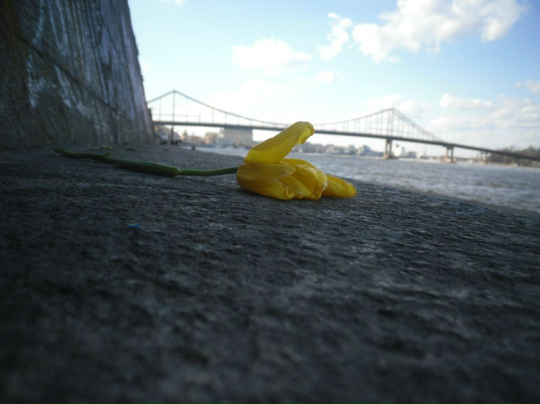 Оля Волотовская | Киев