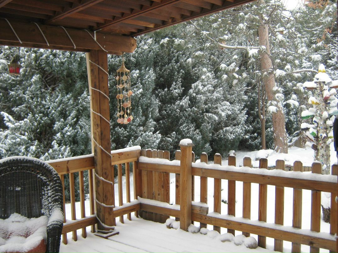 Надя Кулакова Брэннан | Denver